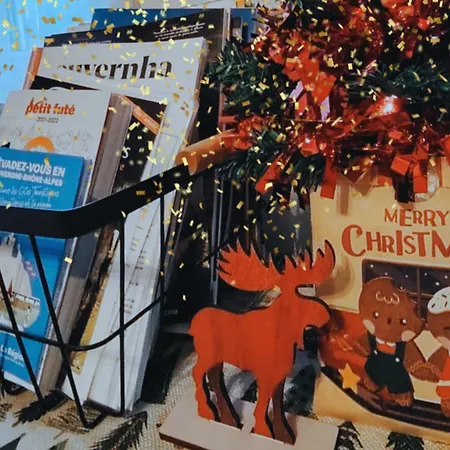 La Fontaine Des Volcans Holiday home *